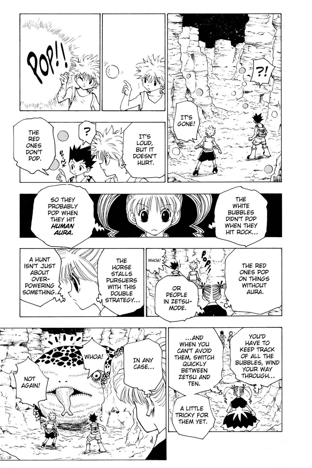 Hunter x Hunter Chapter 136 - Page 7