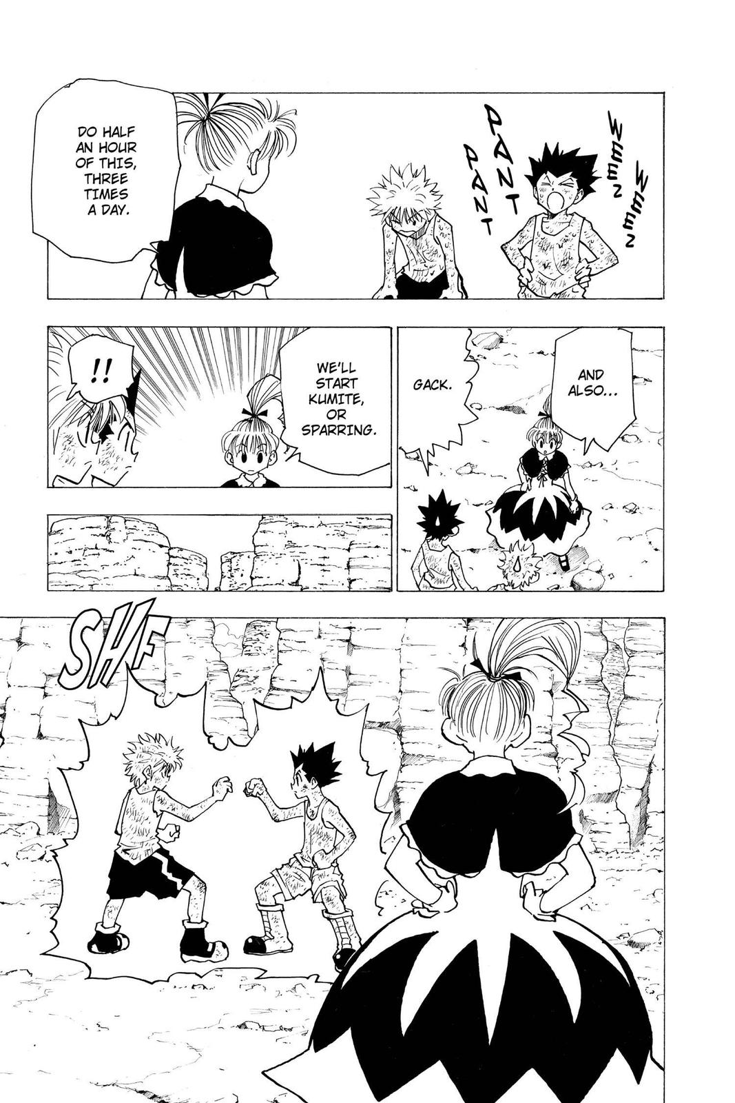 Hunter x Hunter Chapter 142 - Page 5