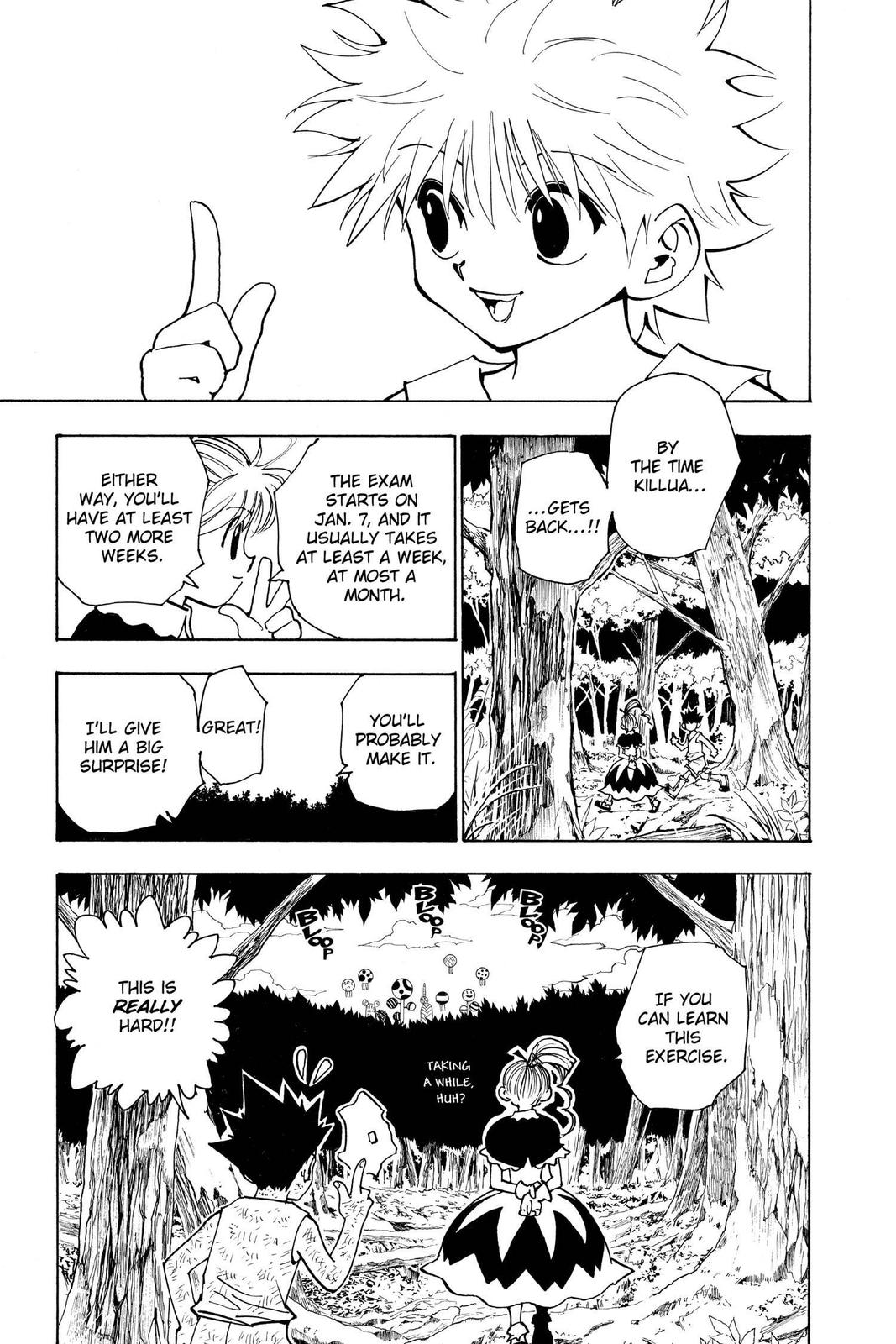 Hunter x Hunter Chapter 147 - Page 11