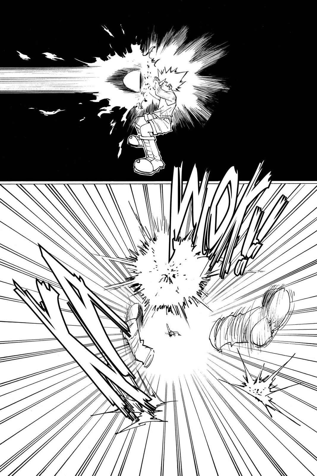 Hunter x Hunter Chapter 163 - Page 9