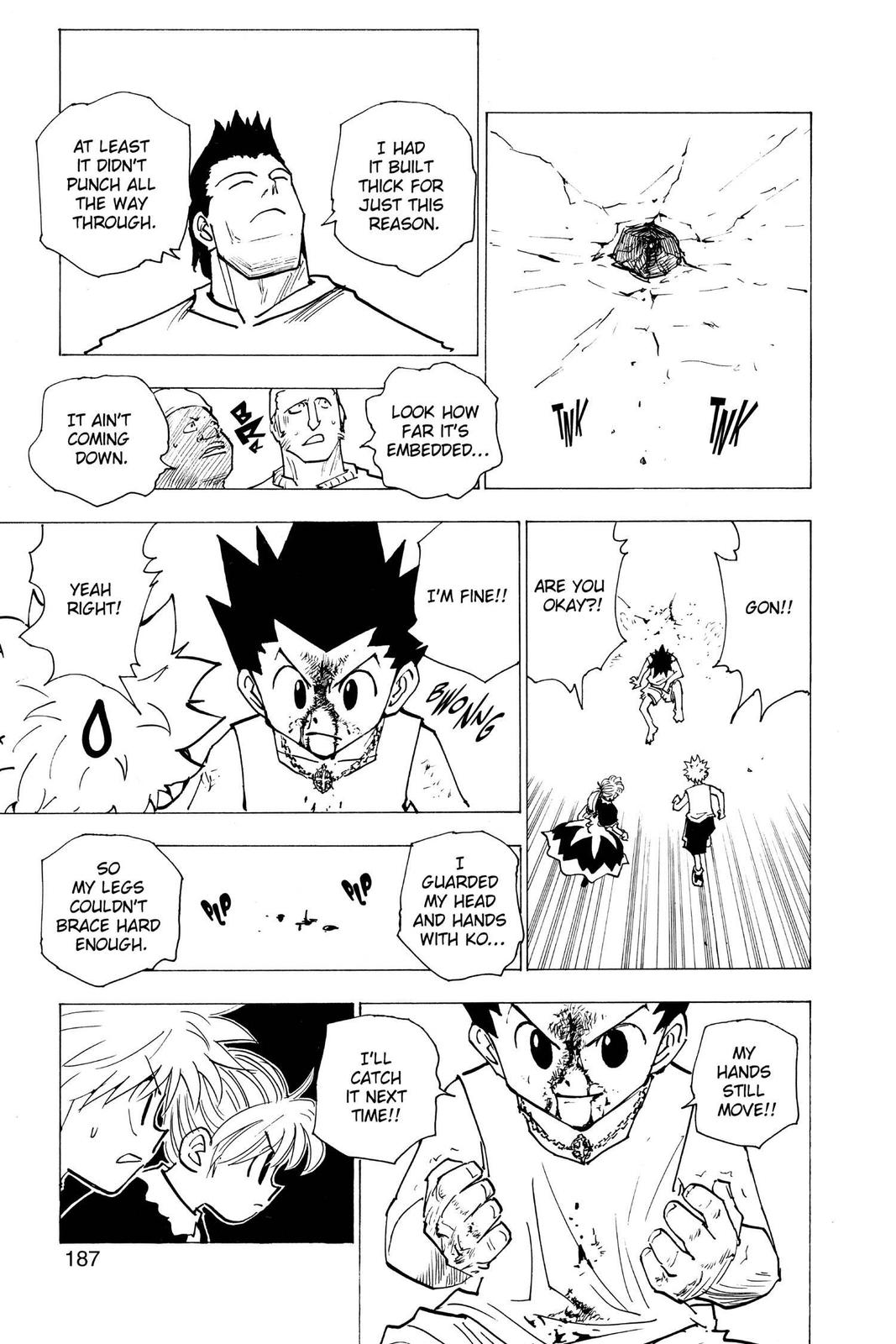 Hunter x Hunter Chapter 163 - Page 11