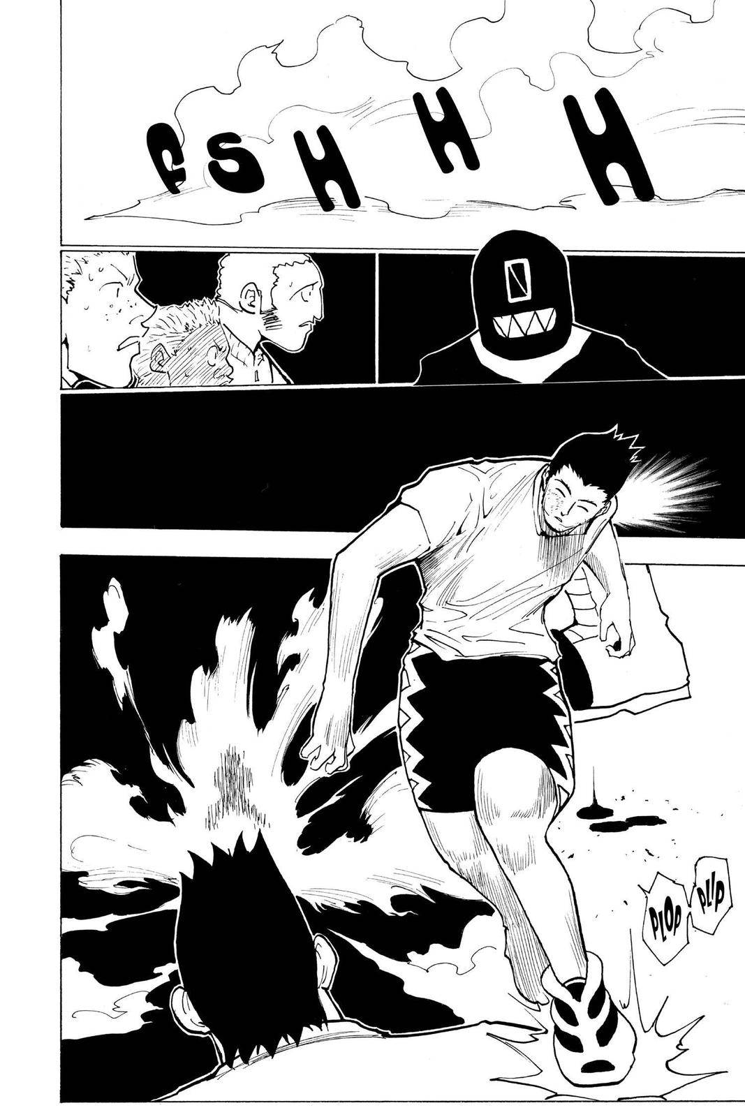 Hunter x Hunter Chapter 167 - Page 5
