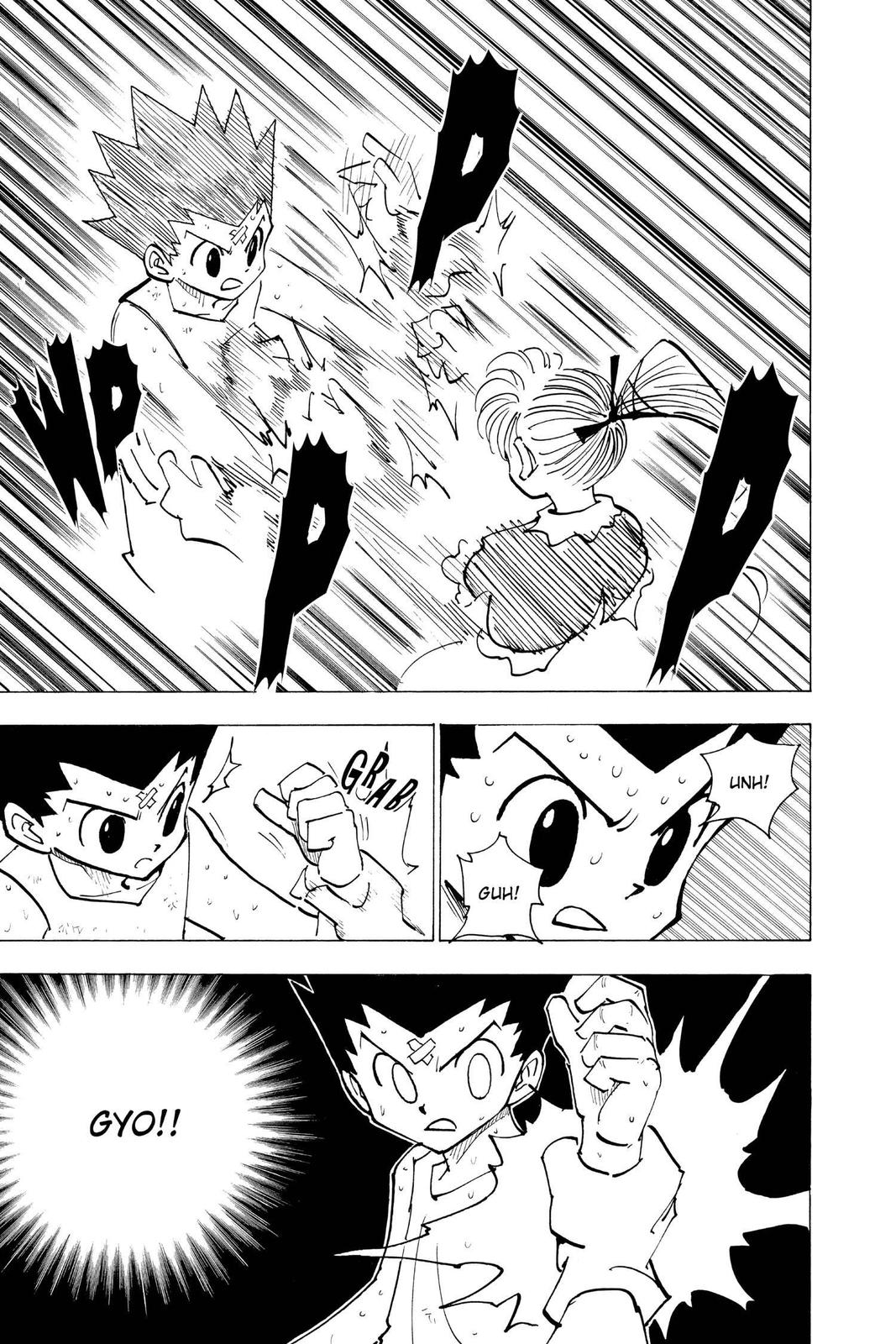 Hunter x Hunter Chapter 171 - Page 5