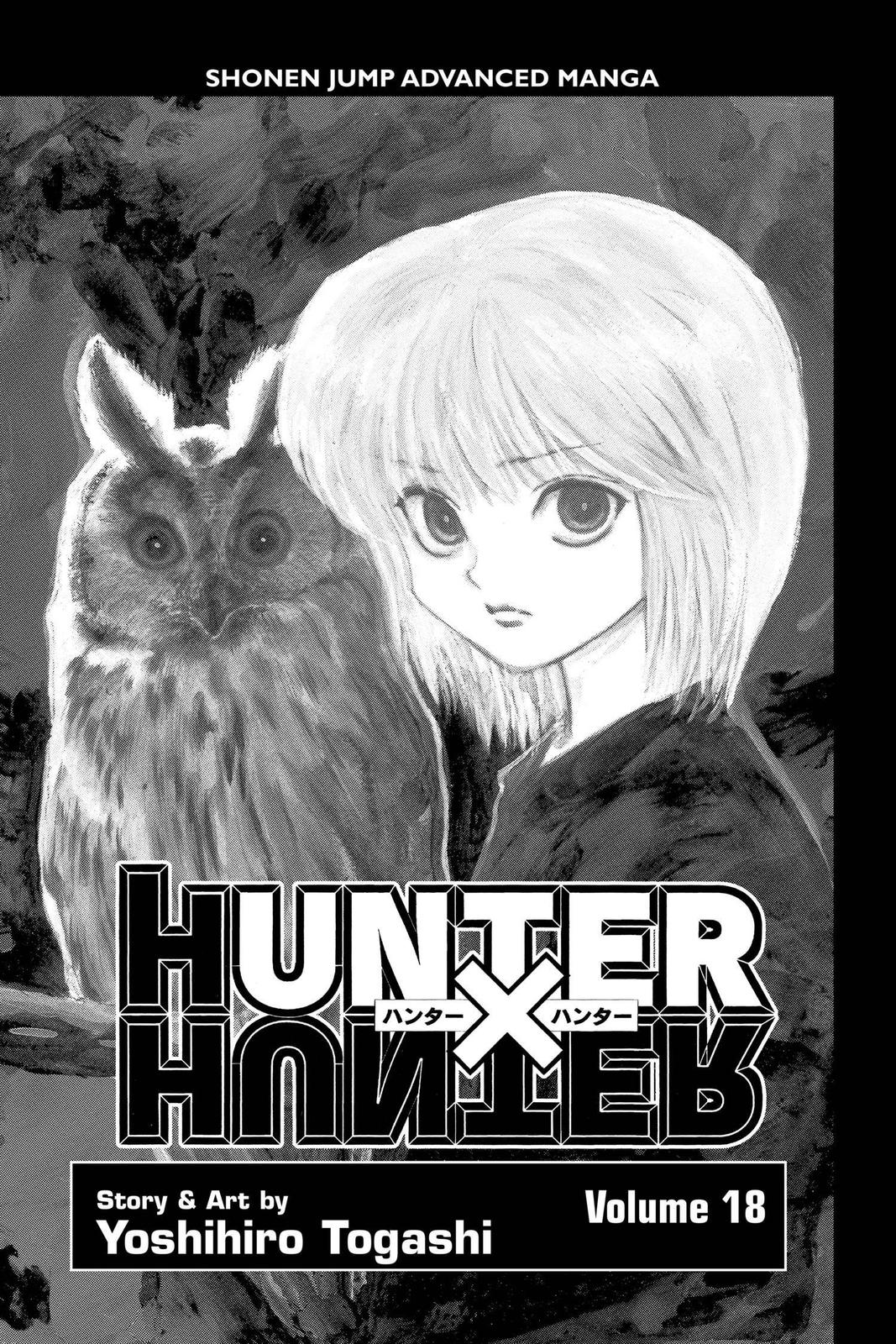 Hunter x Hunter Chapter 176 - Page 4