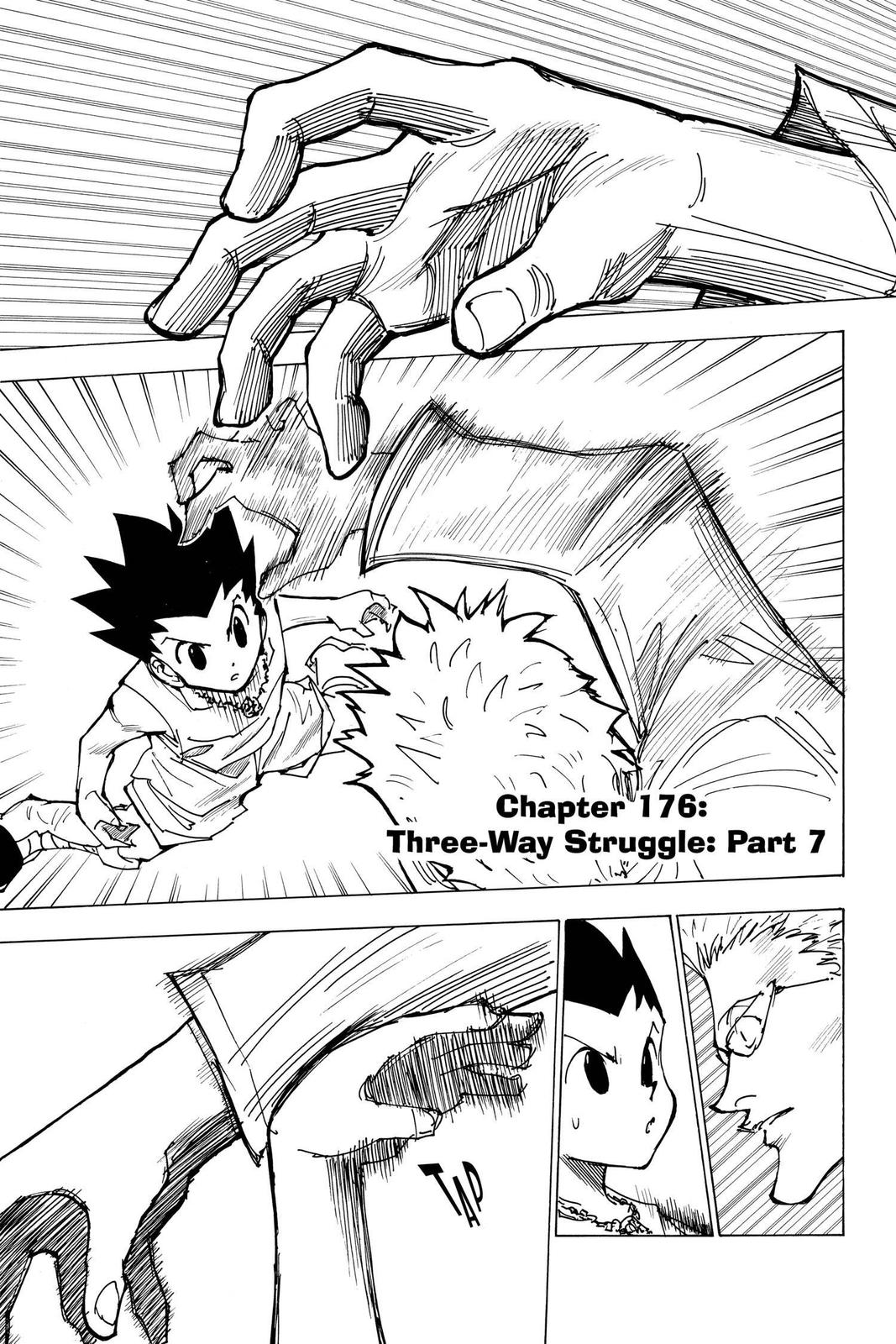 Hunter x Hunter Chapter 176 - Page 7