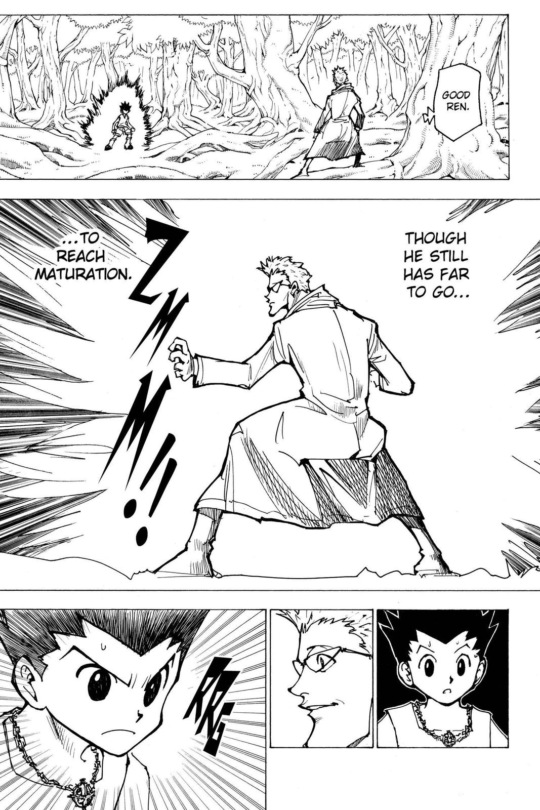 Hunter x Hunter Chapter 176 - Page 13
