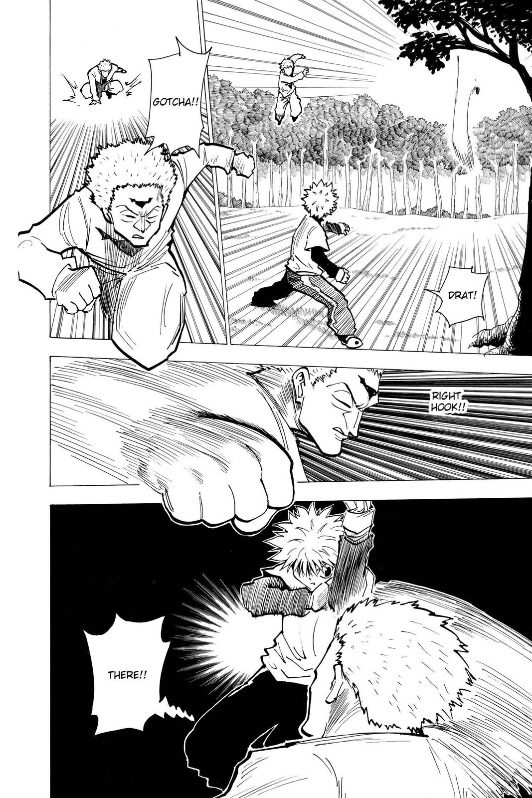 Hunter x Hunter Chapter 178 - Page 10