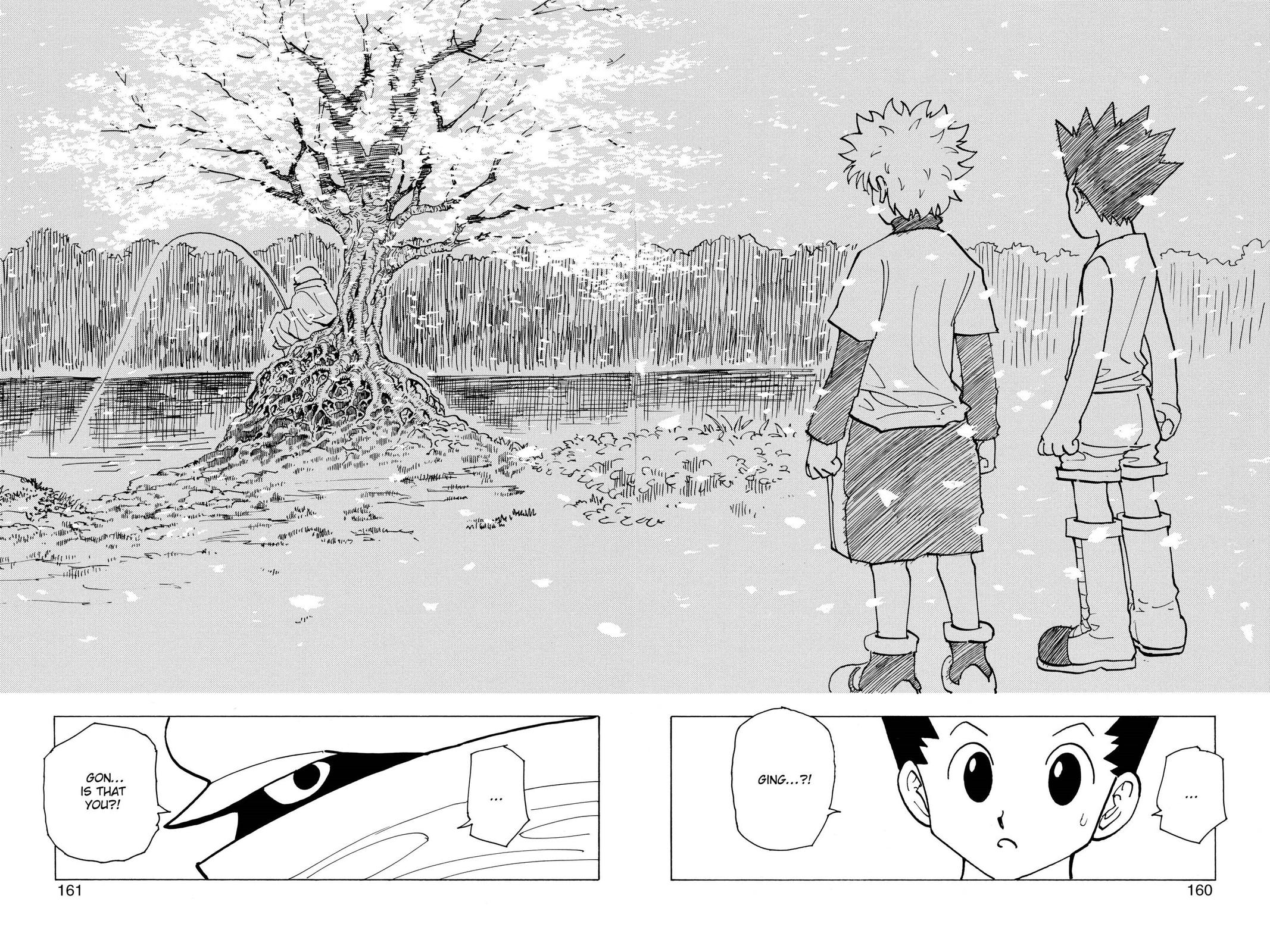 Hunter x Hunter Chapter 185 - Page 10