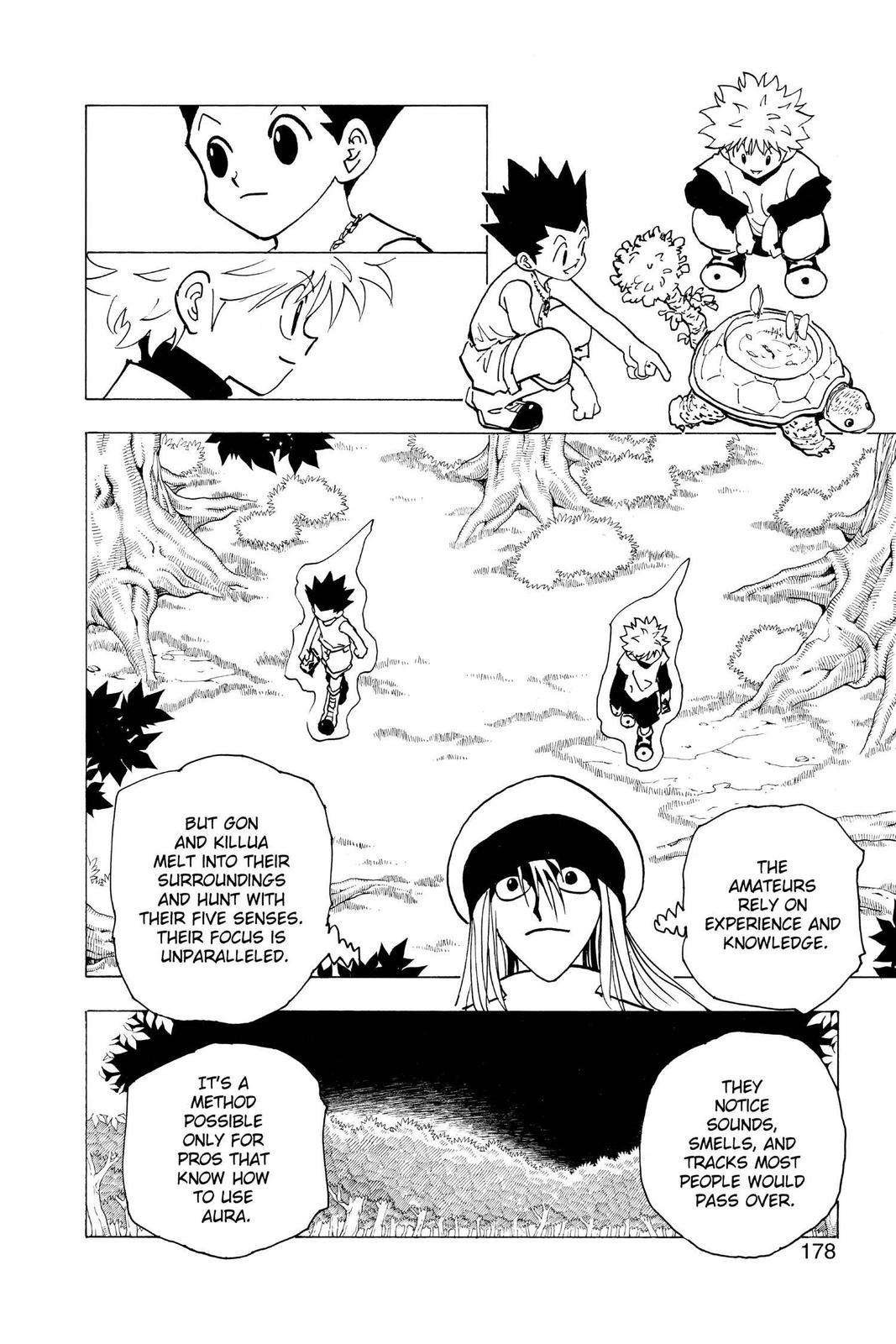 Hunter x Hunter Chapter 186 - Page 12