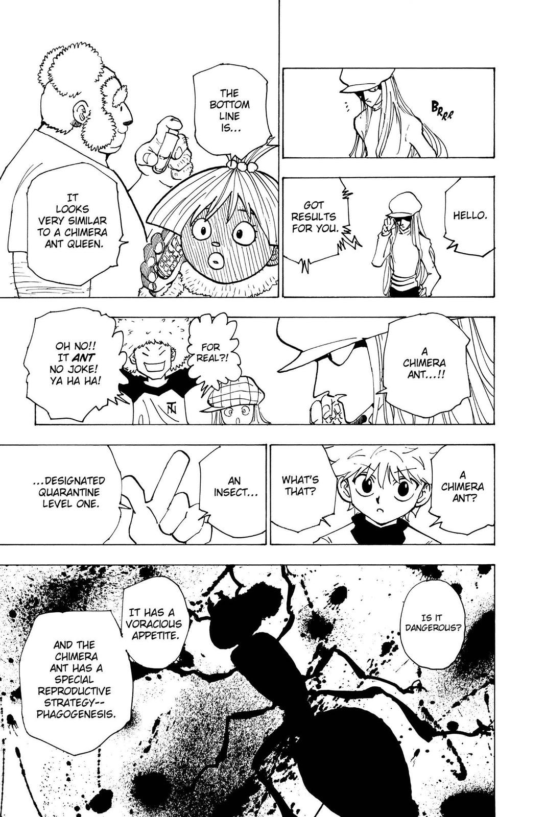 Hunter x Hunter Chapter 187 - Page 11