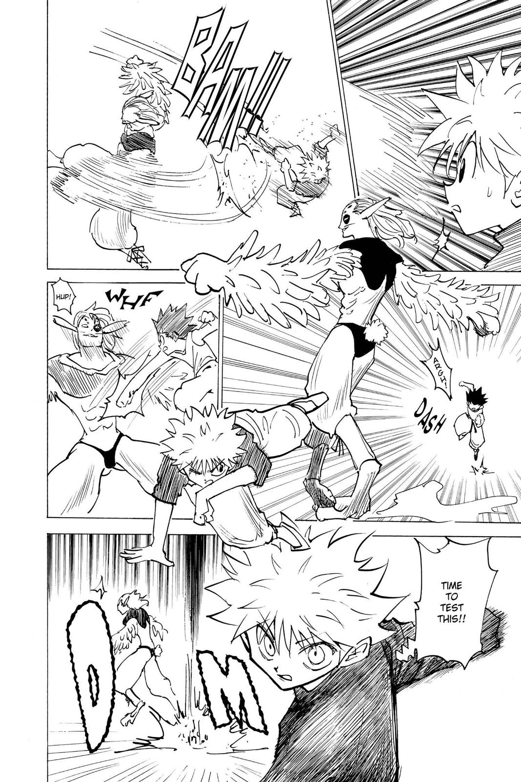 Hunter x Hunter Chapter 191 - Page 10