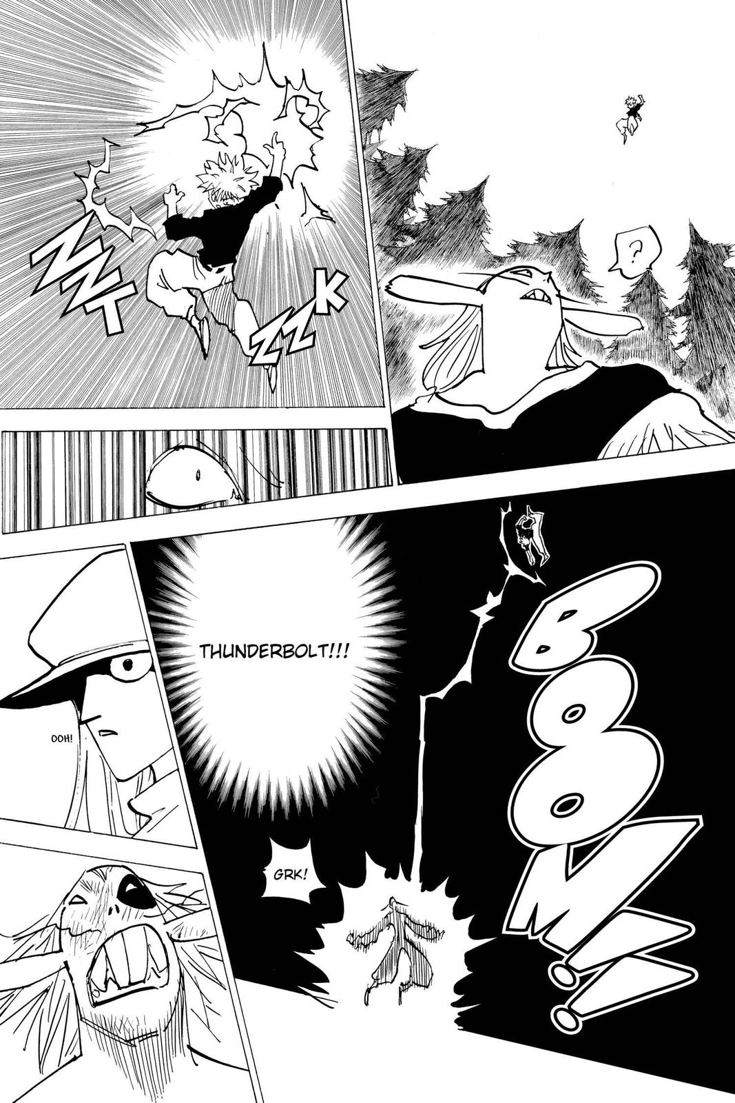 Hunter x Hunter Chapter 191 - Page 11