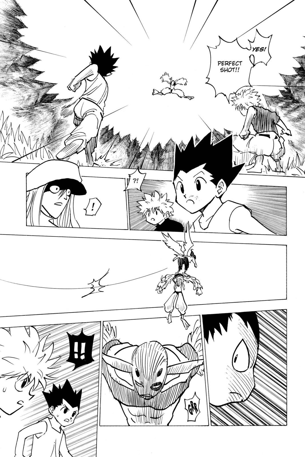 Hunter x Hunter Chapter 191 - Page 13