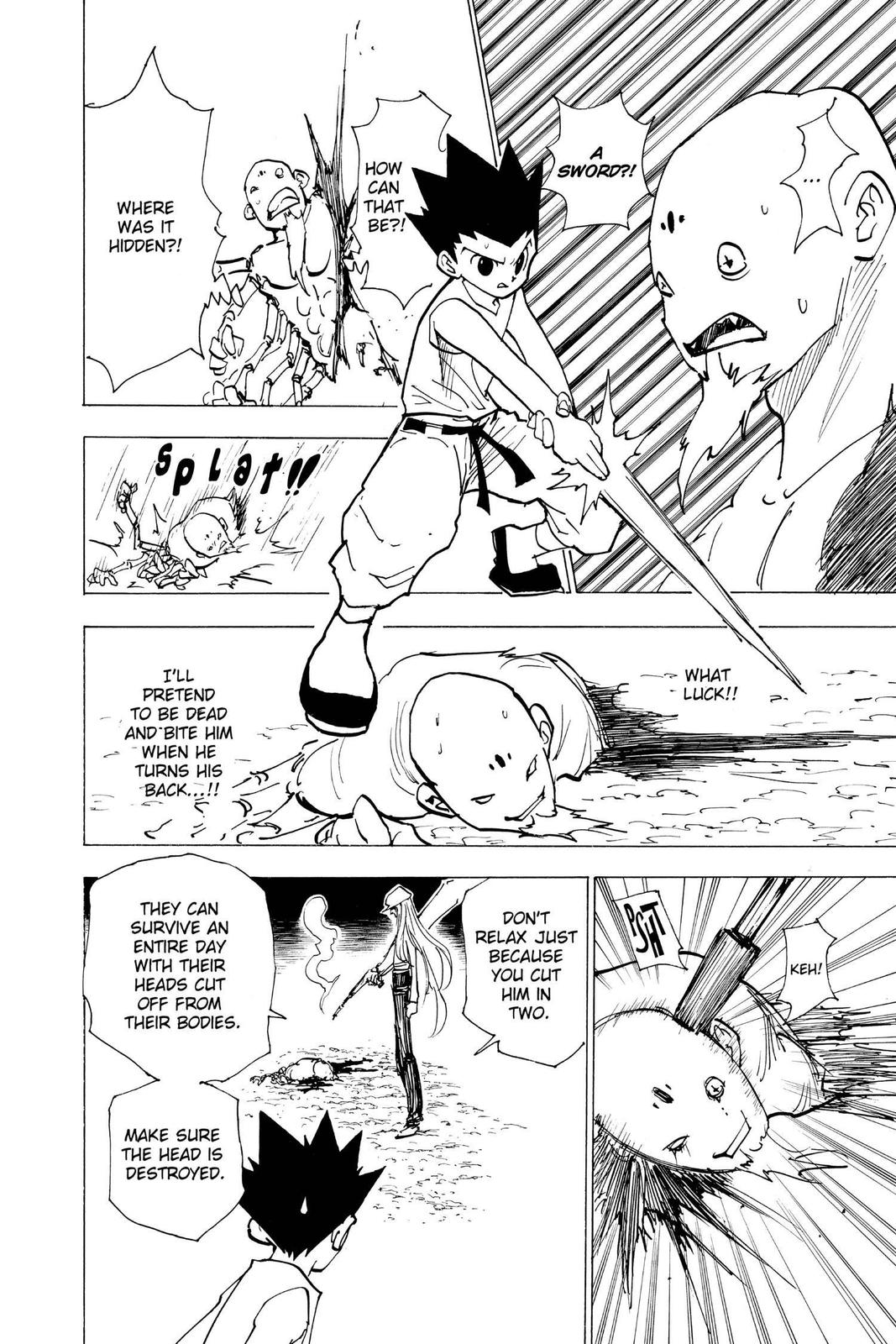 Hunter x Hunter Chapter 193 - Page 13