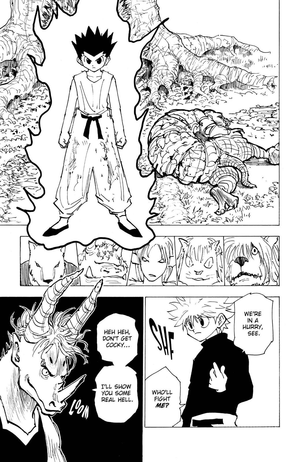 Hunter x Hunter Chapter 195 - Page 14