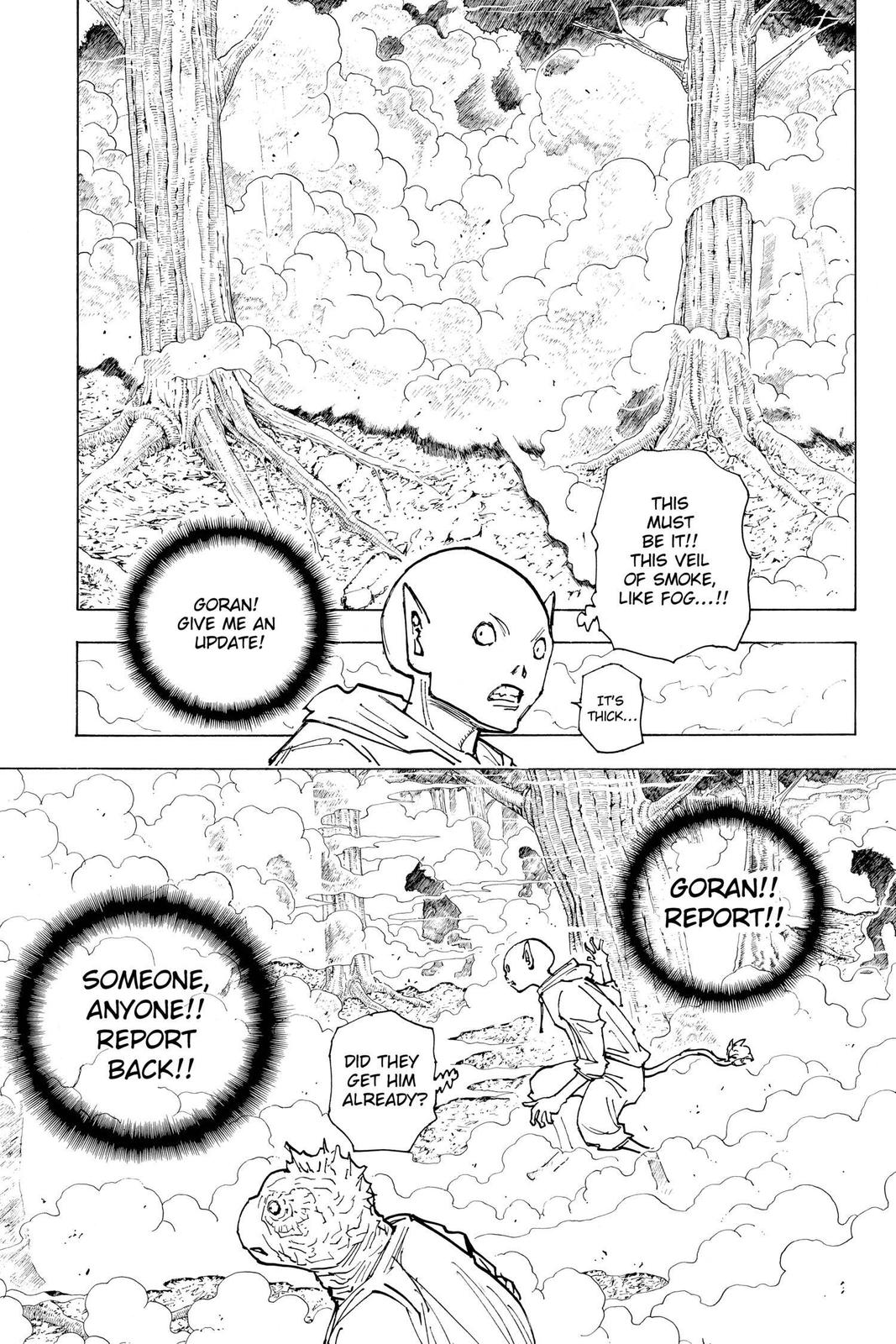Hunter x Hunter Chapter 205 - Page 11