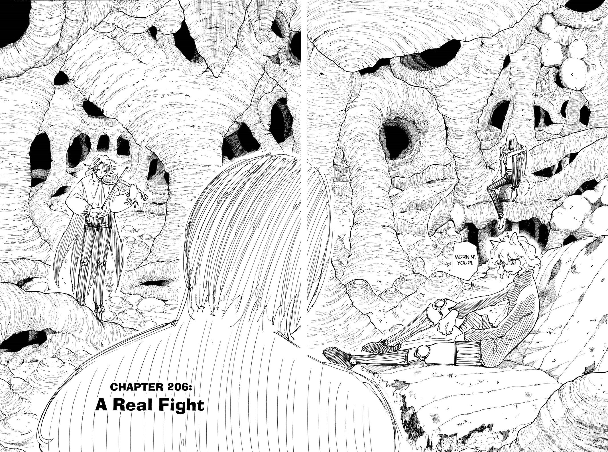 Hunter x Hunter Chapter 206 - Page 4