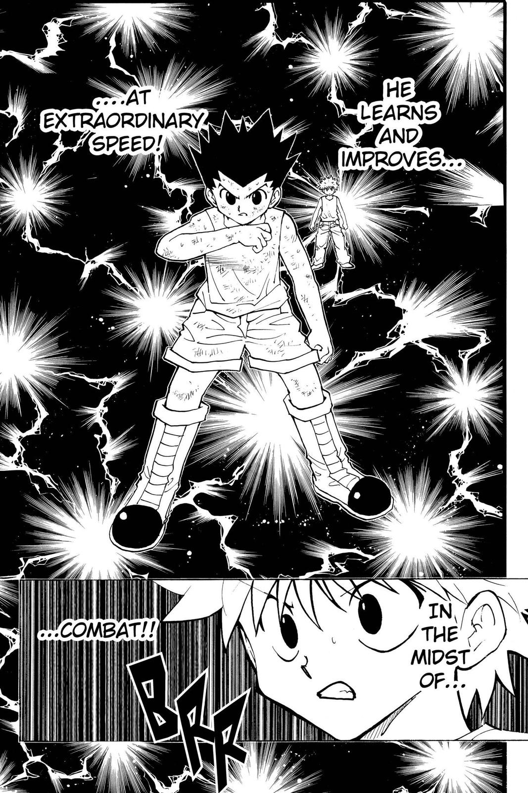 Hunter x Hunter Chapter 208 - Page 8