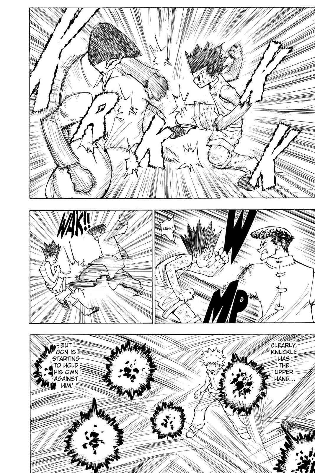 Hunter x Hunter Chapter 208 - Page 10