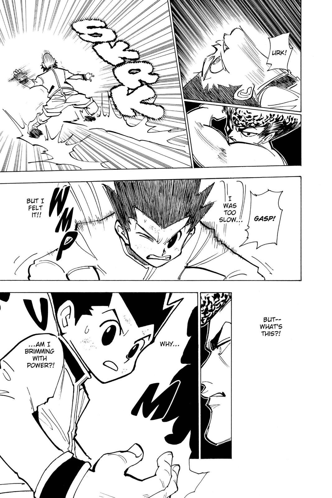 Hunter x Hunter Chapter 210 - Page 13