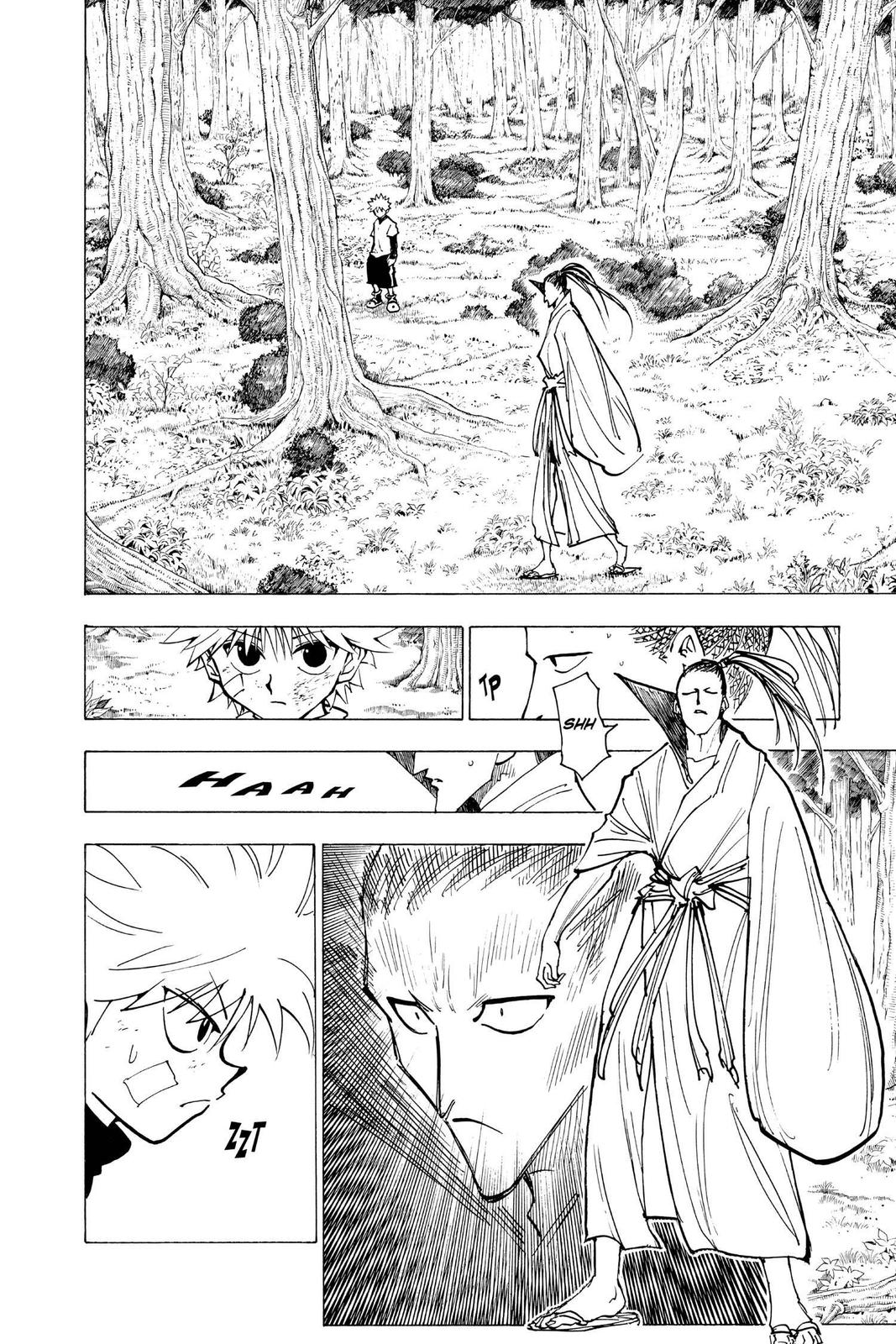 Hunter x Hunter Chapter 211 - Page 14