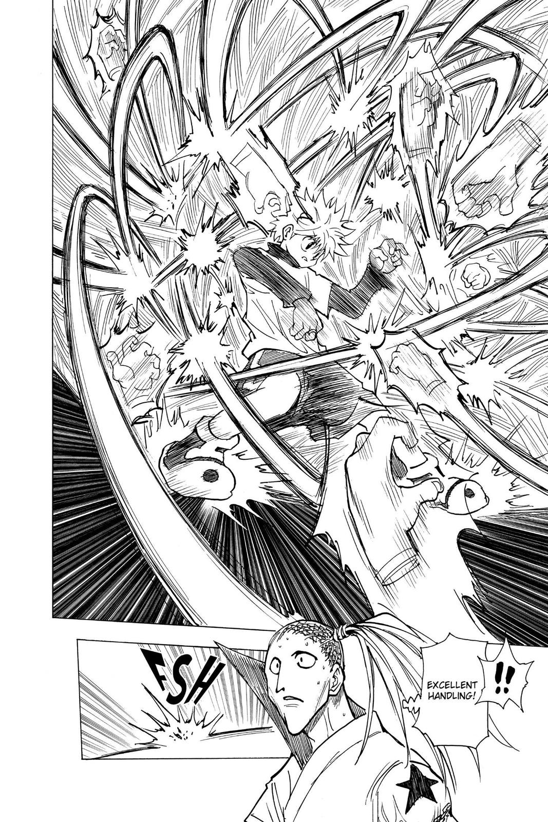 Hunter x Hunter Chapter 212 - Page 10