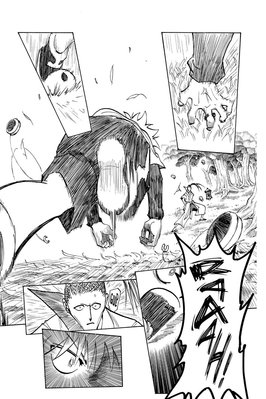 Hunter x Hunter Chapter 212 - Page 17