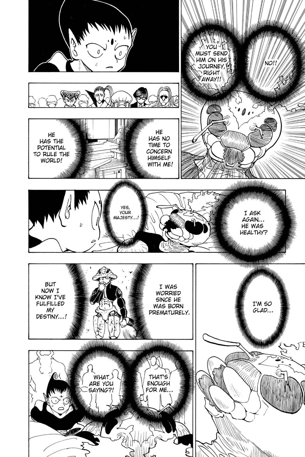 Hunter x Hunter Chapter 215 - Page 8