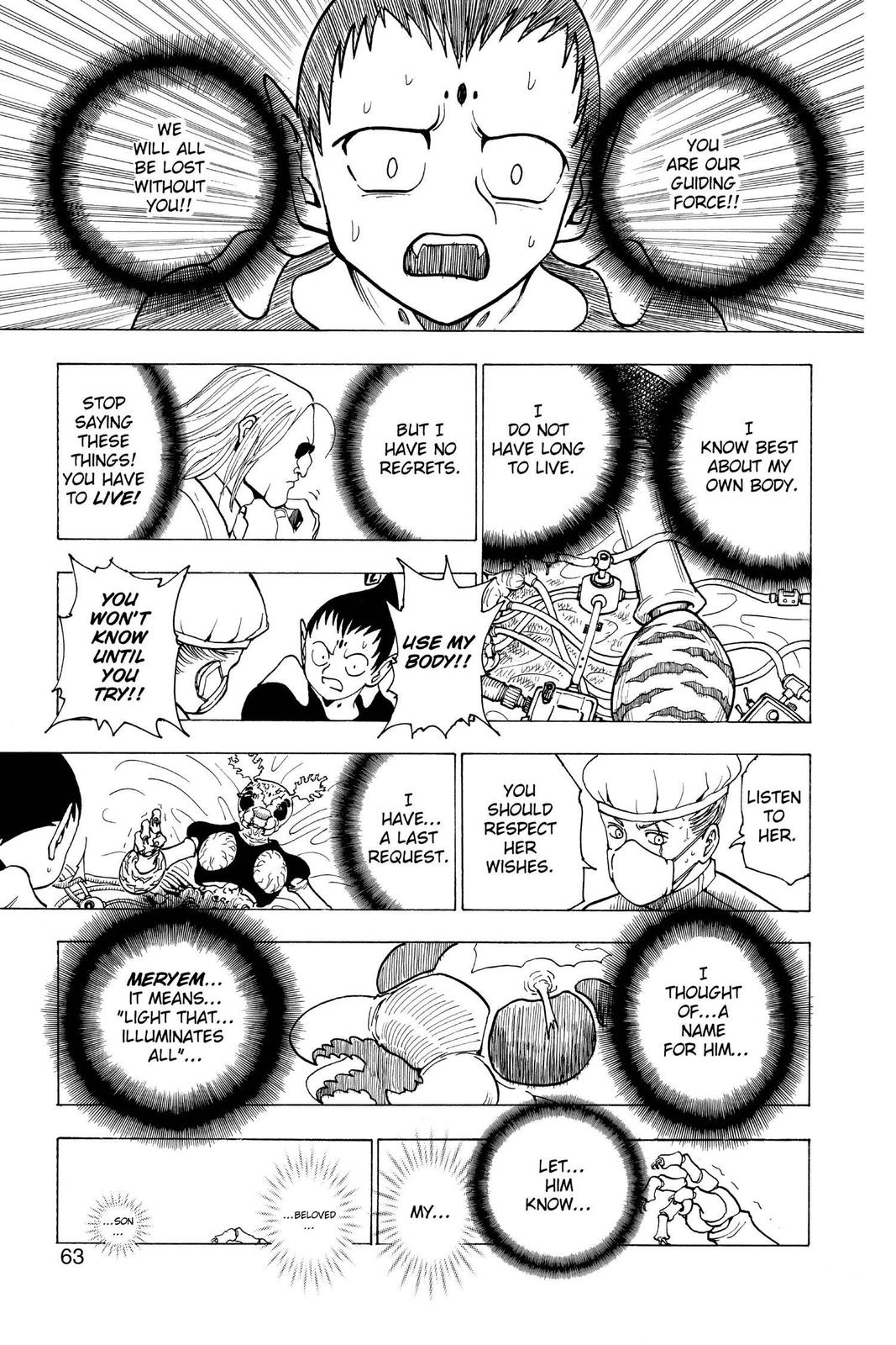 Hunter x Hunter Chapter 215 - Page 9