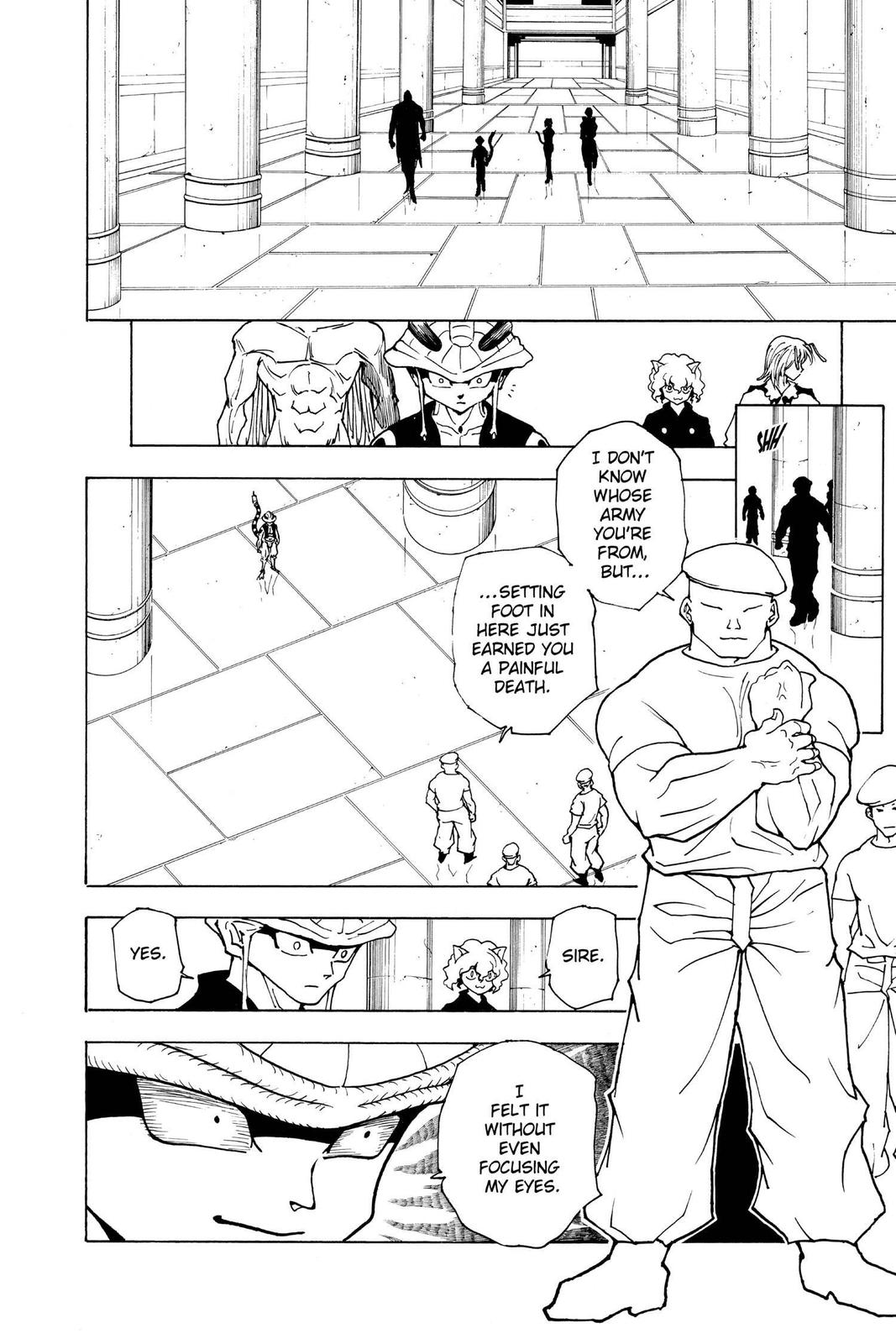 Hunter x Hunter Chapter 216 - Page 14