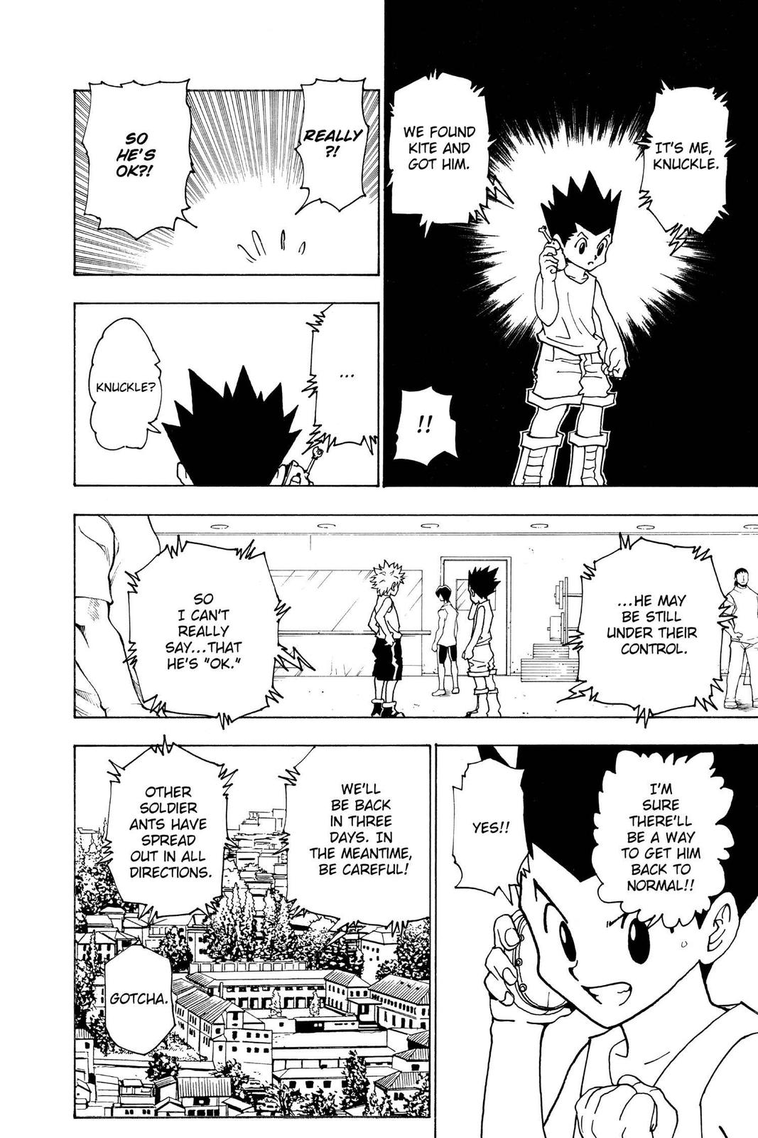 Hunter x Hunter Chapter 217 - Page 14