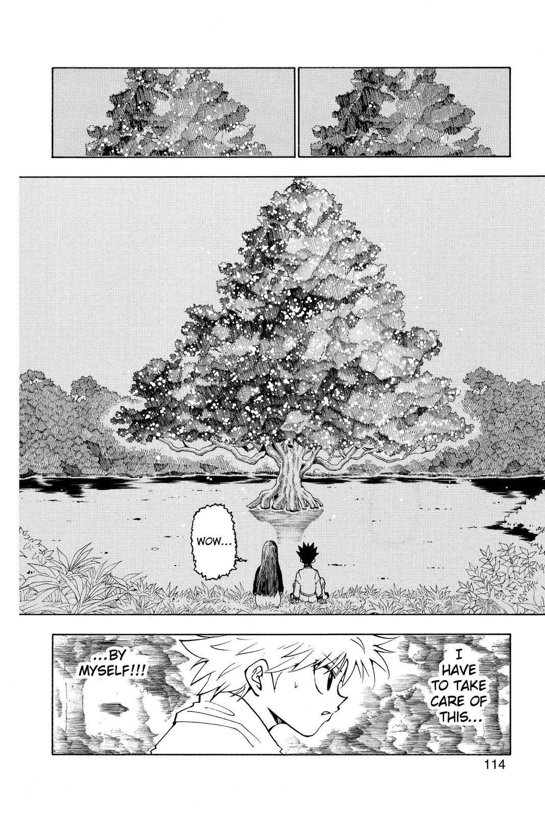 Hunter x Hunter Chapter 218 - Page 12