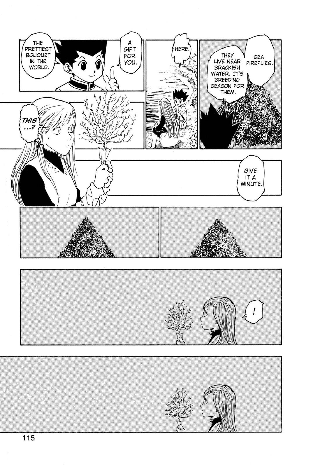 Hunter x Hunter Chapter 218 - Page 13