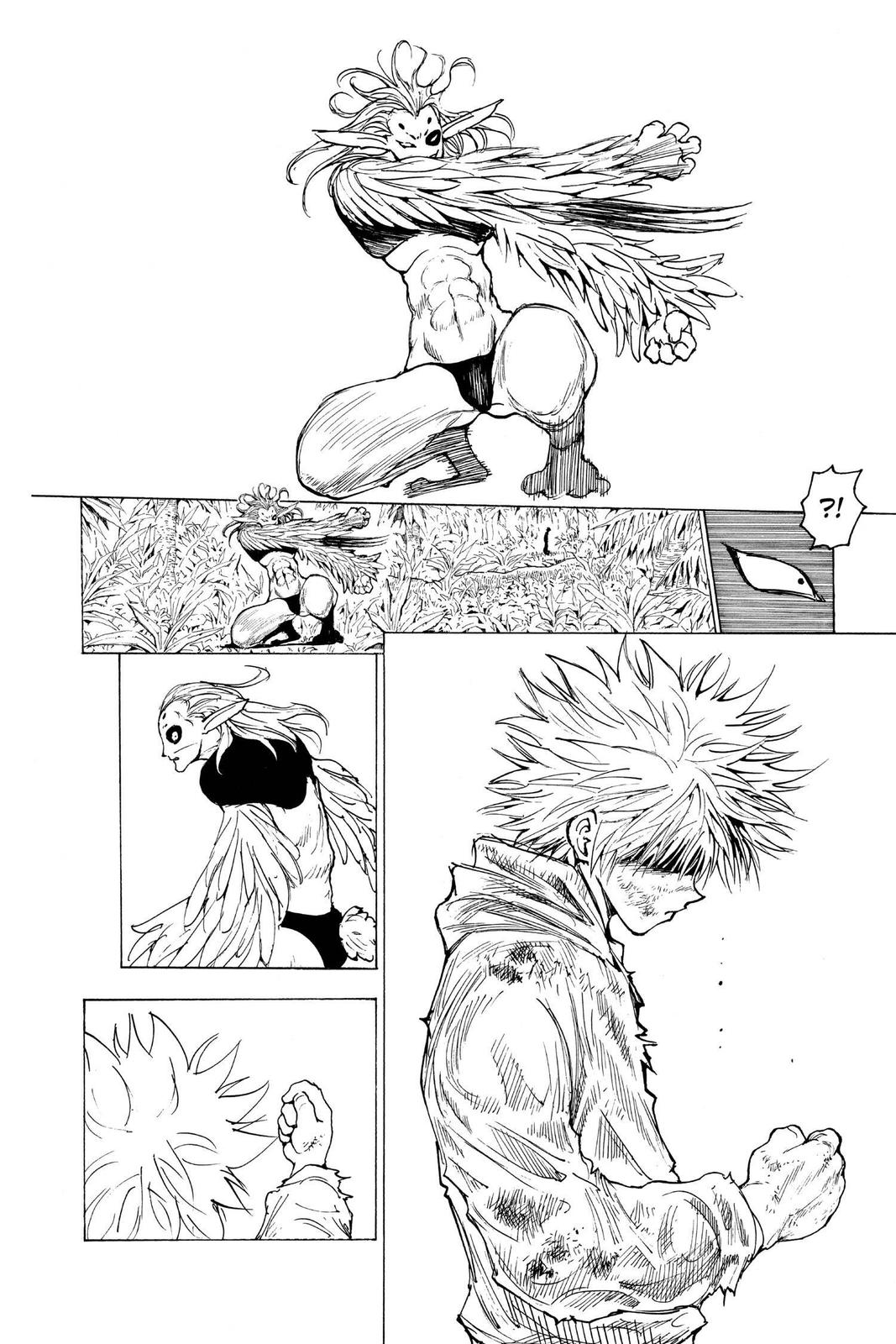 Hunter x Hunter Chapter 219 - Page 10