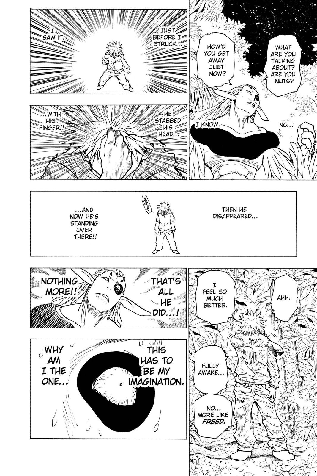 Hunter x Hunter Chapter 219 - Page 12