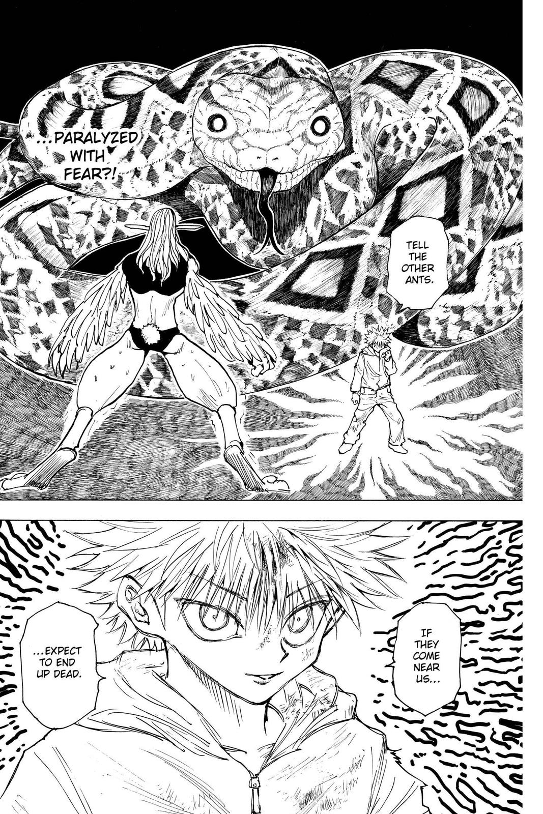 Hunter x Hunter Chapter 219 - Page 13