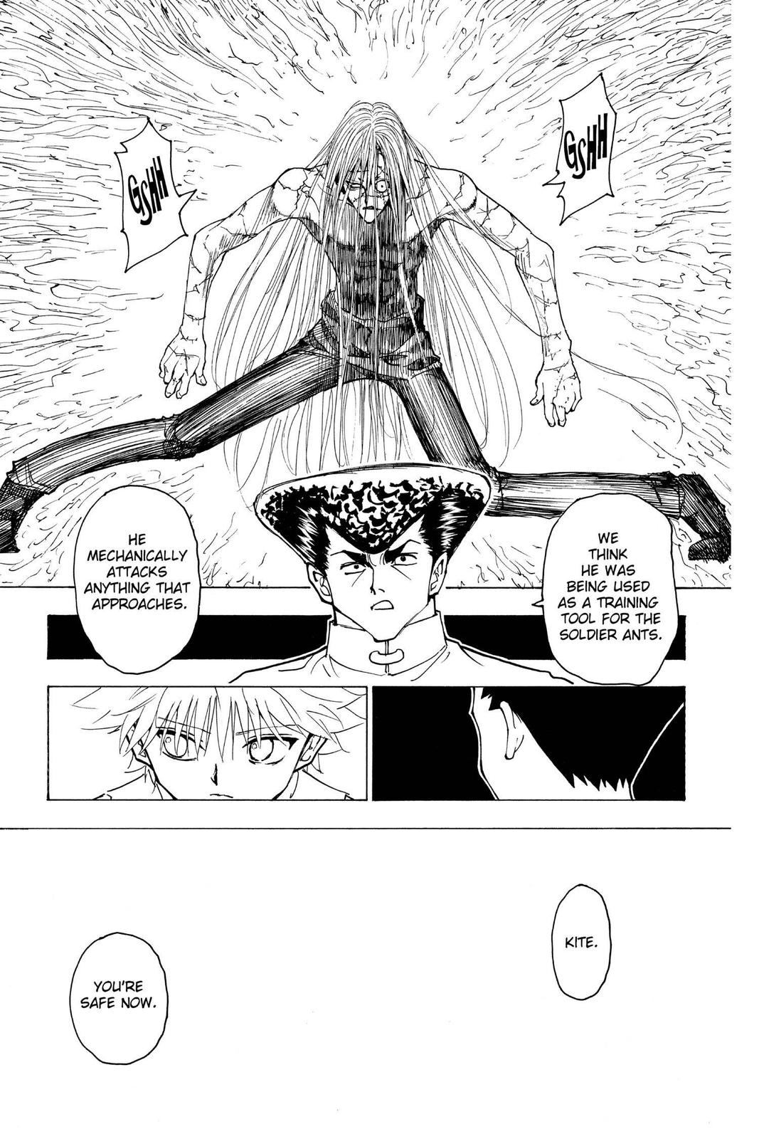 Hunter x Hunter Chapter 222 - Page 5