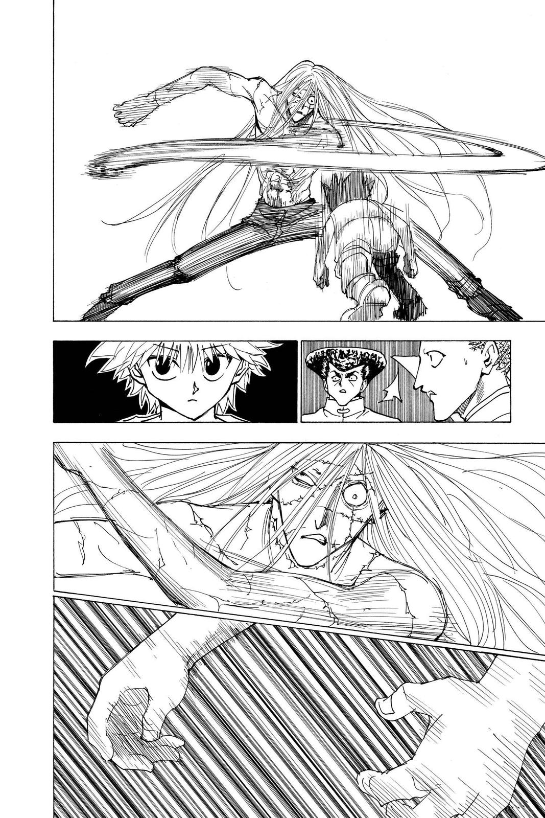 Hunter x Hunter Chapter 222 - Page 10
