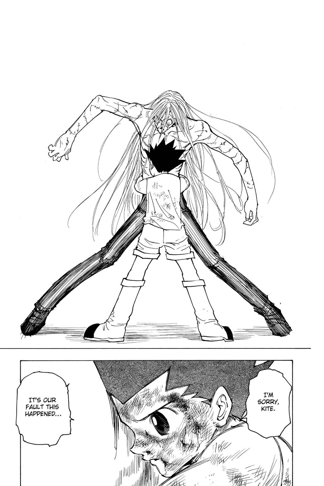 Hunter x Hunter Chapter 222 - Page 11