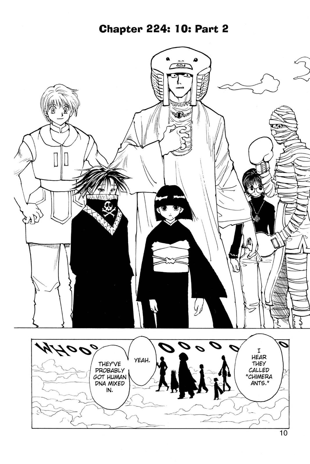 Hunter x Hunter Chapter 224 - Page 10