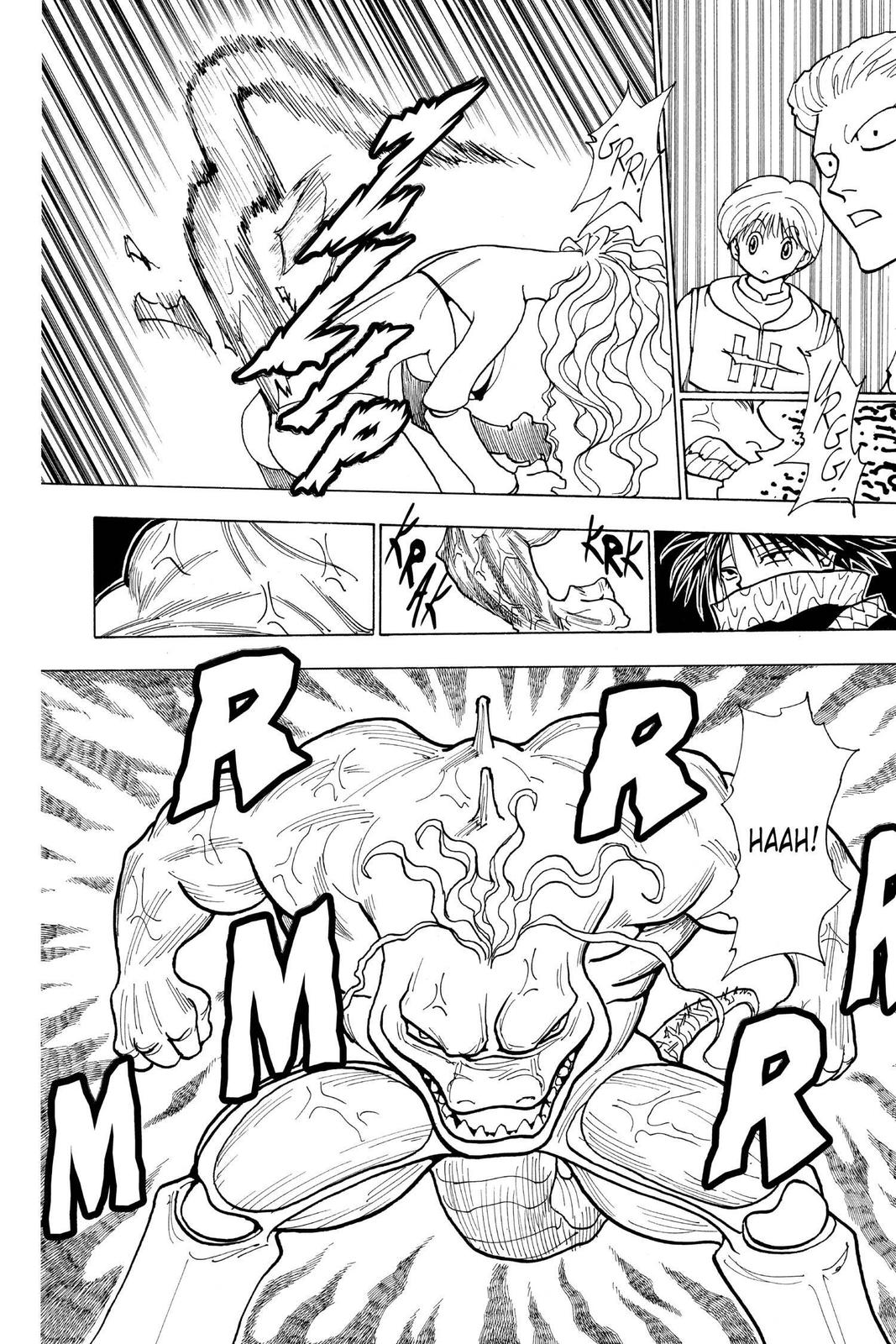 Hunter x Hunter Chapter 228 - Page 12