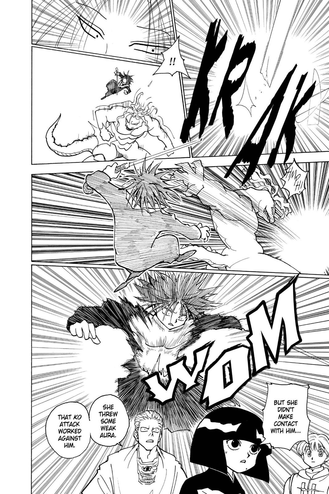 Hunter x Hunter Chapter 228 - Page 14