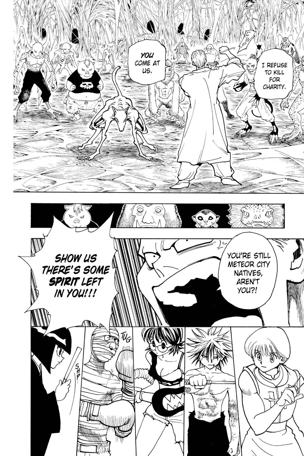 Hunter x Hunter Chapter 229 - Page 12