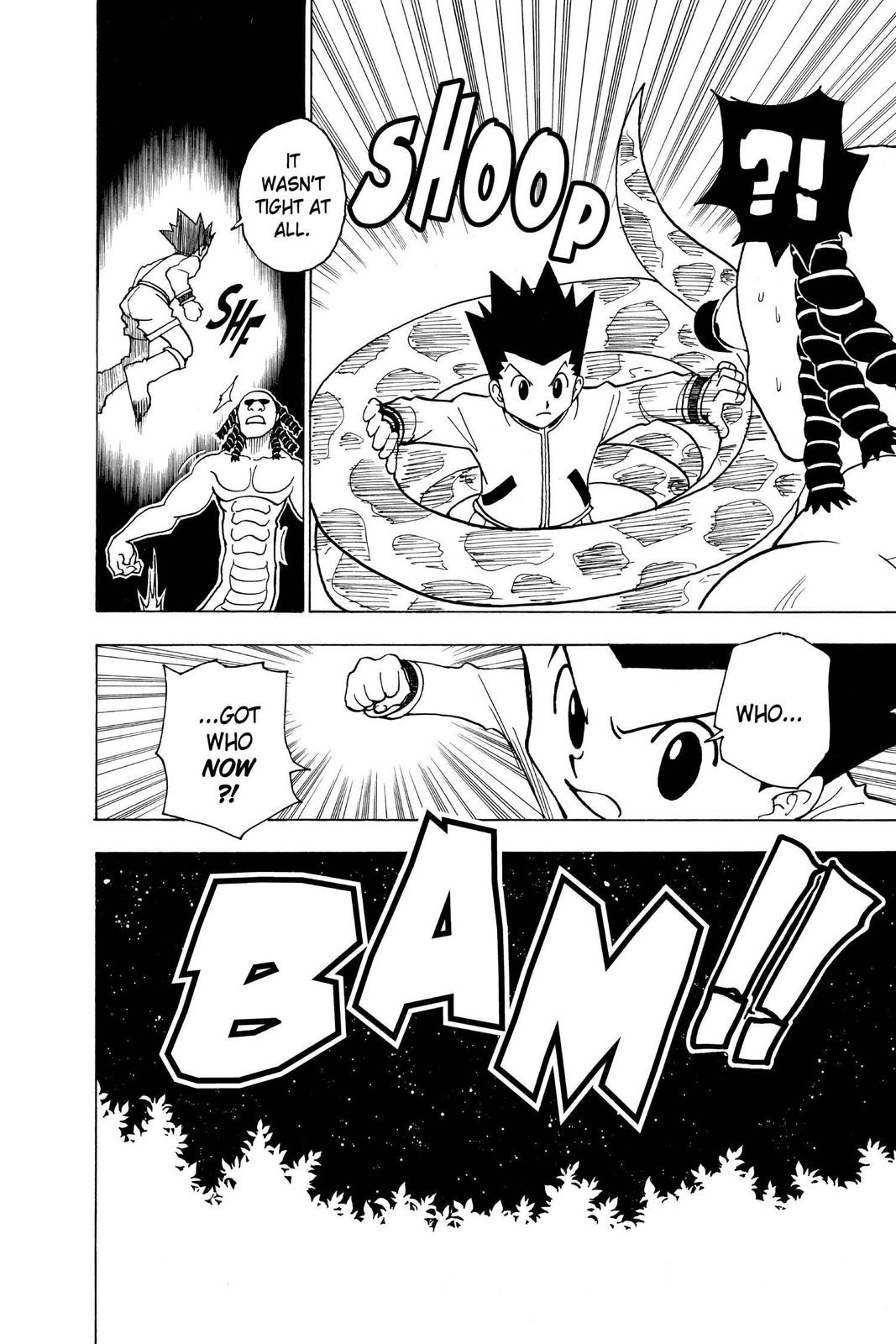 Hunter x Hunter Chapter 231 - Page 12