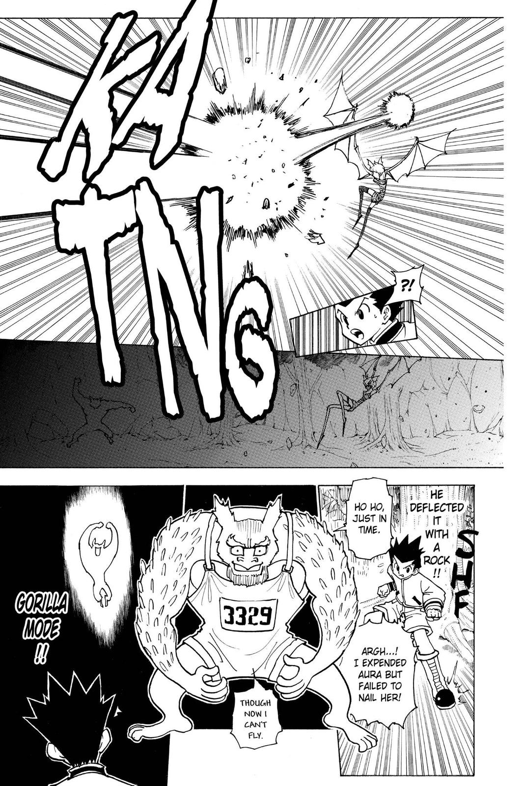 Hunter x Hunter Chapter 232 - Page 13