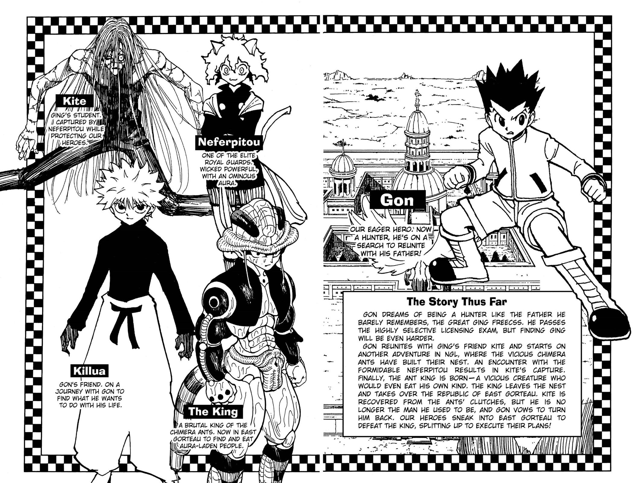 Hunter x Hunter Chapter 236 - Page 5