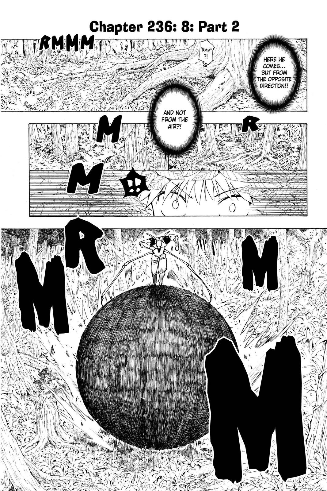 Hunter x Hunter Chapter 236 - Page 7