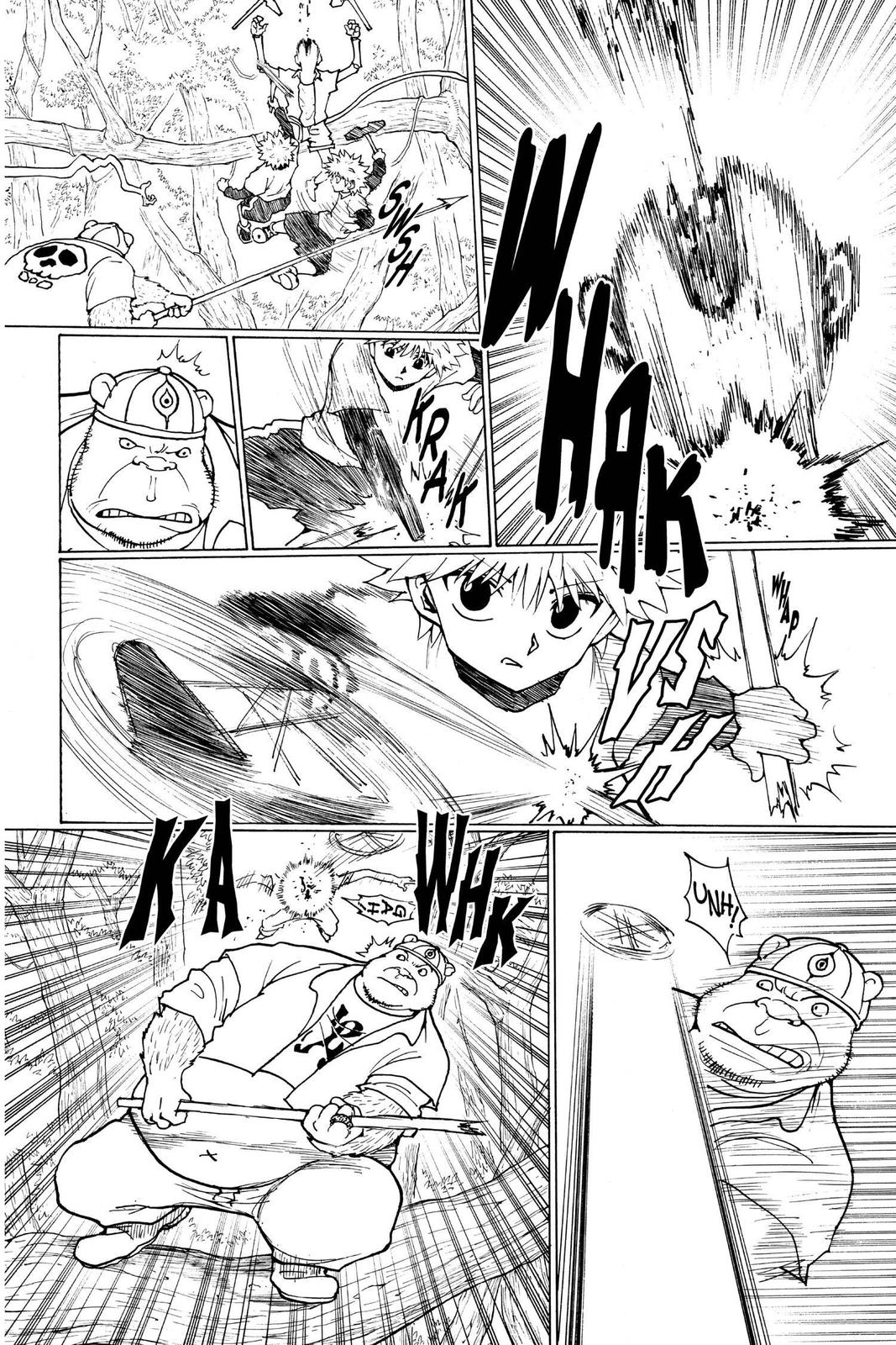 Hunter x Hunter Chapter 236 - Page 12