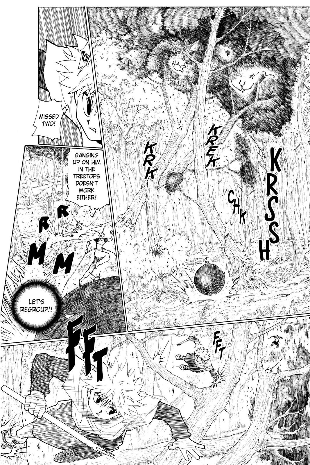 Hunter x Hunter Chapter 236 - Page 15