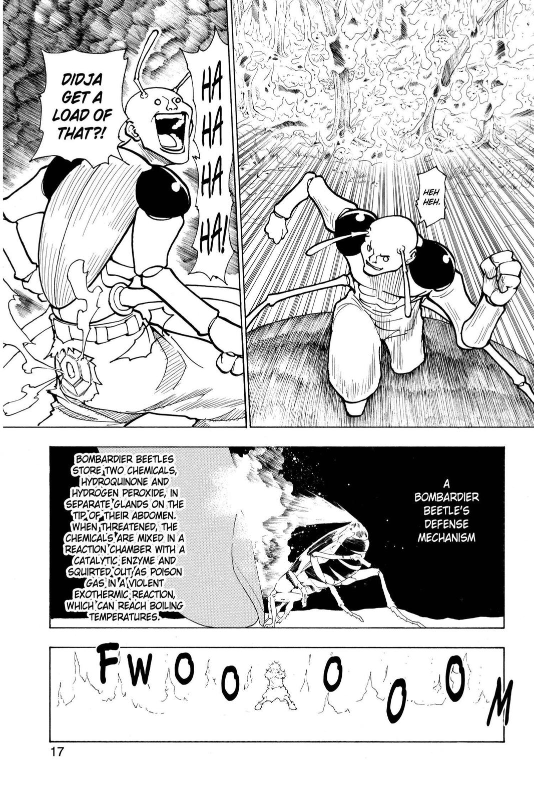 Hunter x Hunter Chapter 236 - Page 17